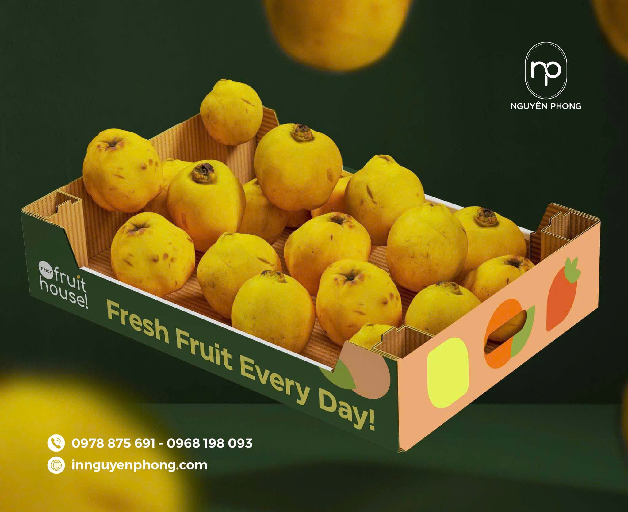 thùng carton dựng trái cây